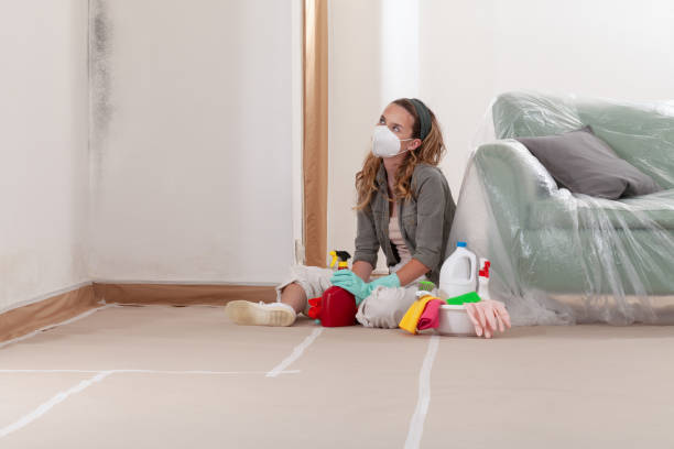 Reliable Mold Remediation contractor in Norwood, NY by 24 Hour Mold Removal